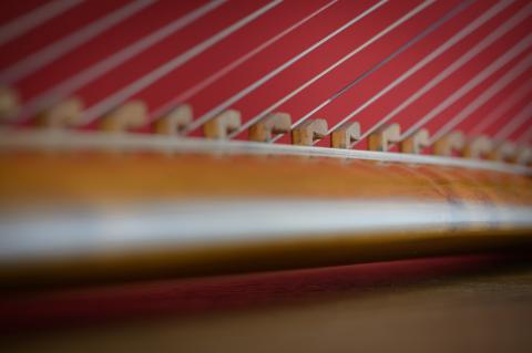 Gothic Harp by Rainer Thurau - Photo: André Wagenzik